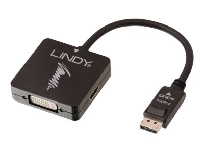 Lindy Videokonverter - DisplayPort - DVI, HDMI