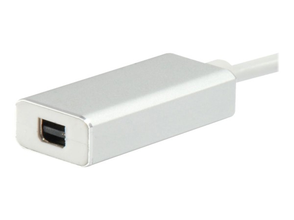 equip Videoadapter - USB-C (M) bis Mini DisplayPort (W)