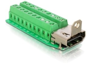 Delock Adapter HDMI Buchse > Terminalblock 20pin