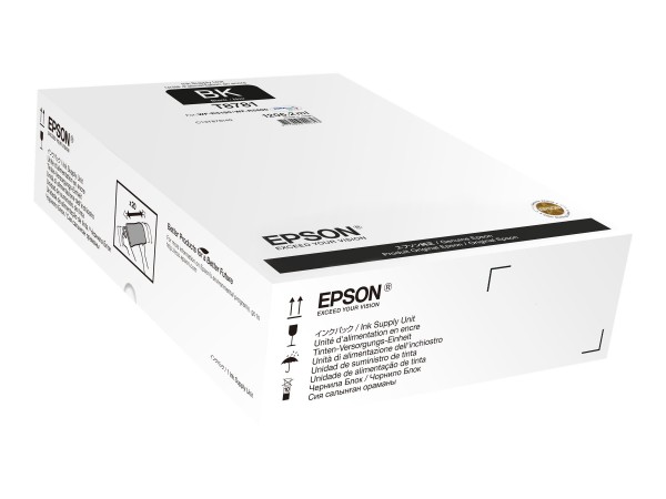 Epson T8781 - 1206.2 ml - Schwarz - Nachfülltinte