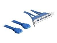 Delock Slot bracket - USB-Konsole - 19-poliger USB 3.0 Kopf (W)