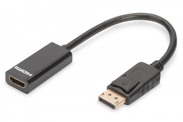 DIGITUS DisplayPort Adapter / Konverter