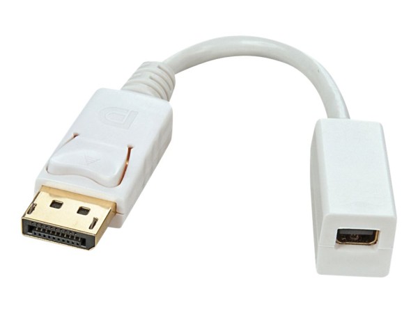 Lindy DisplayPort-Adapter - DisplayPort (M)