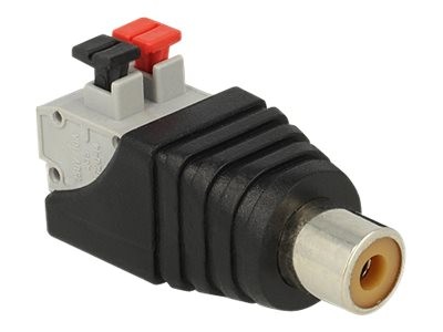 Delock Audio-Adapter - 2-polige Klemmleiste (W)